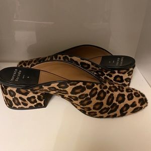 Laurance Dacade slides